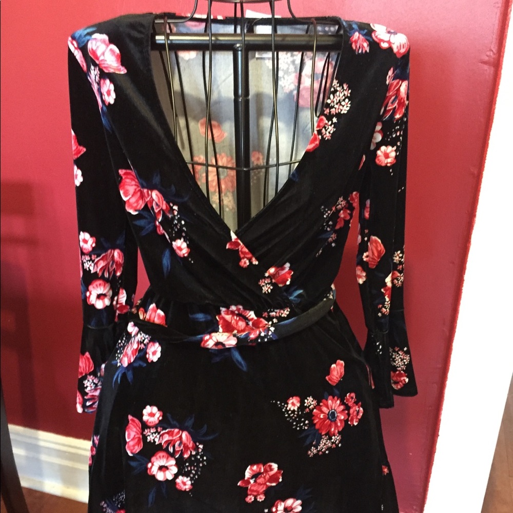 H&M NWT VELVET ROSE DRESS SOLD
